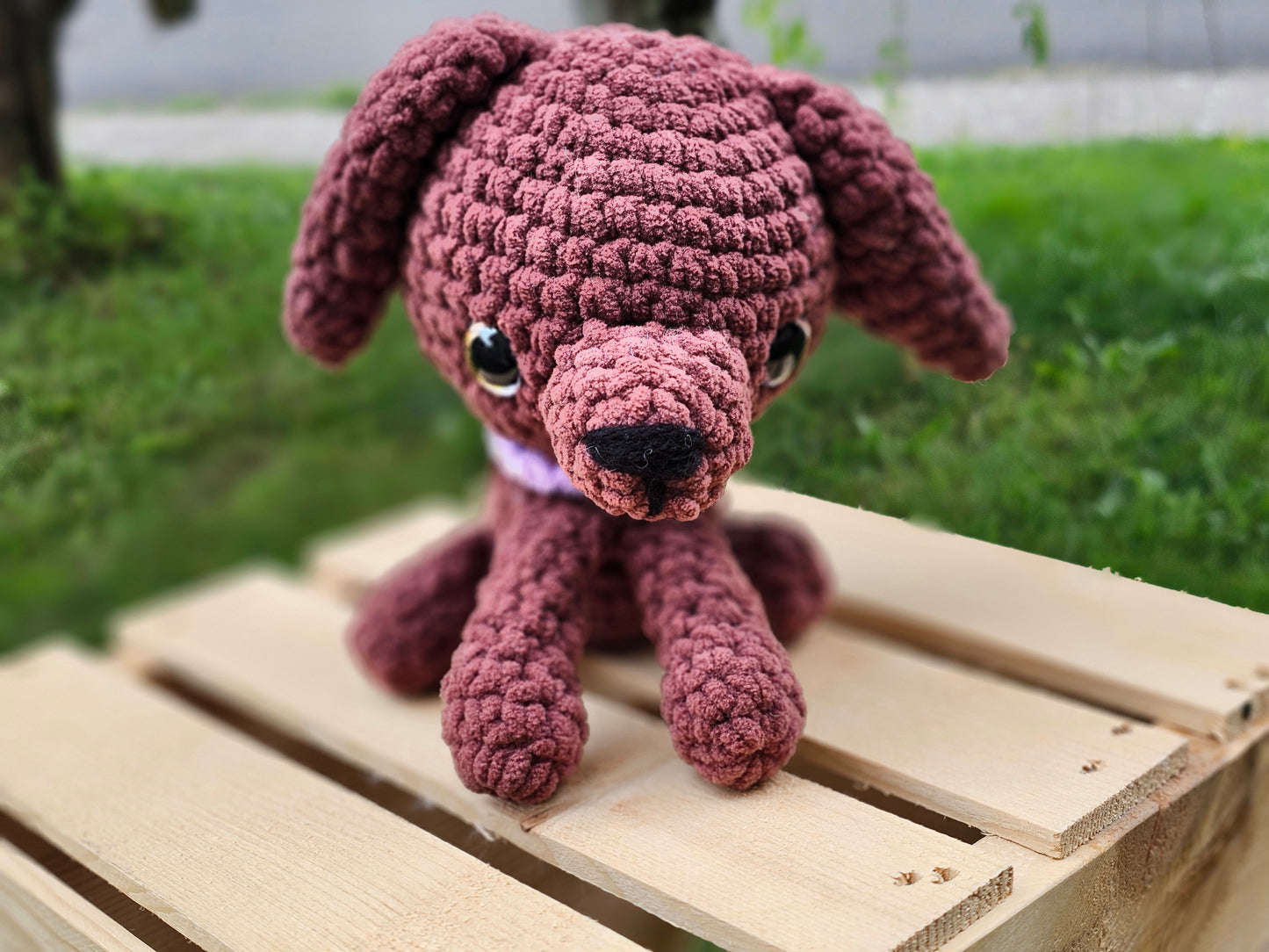 Chocolate Puppy