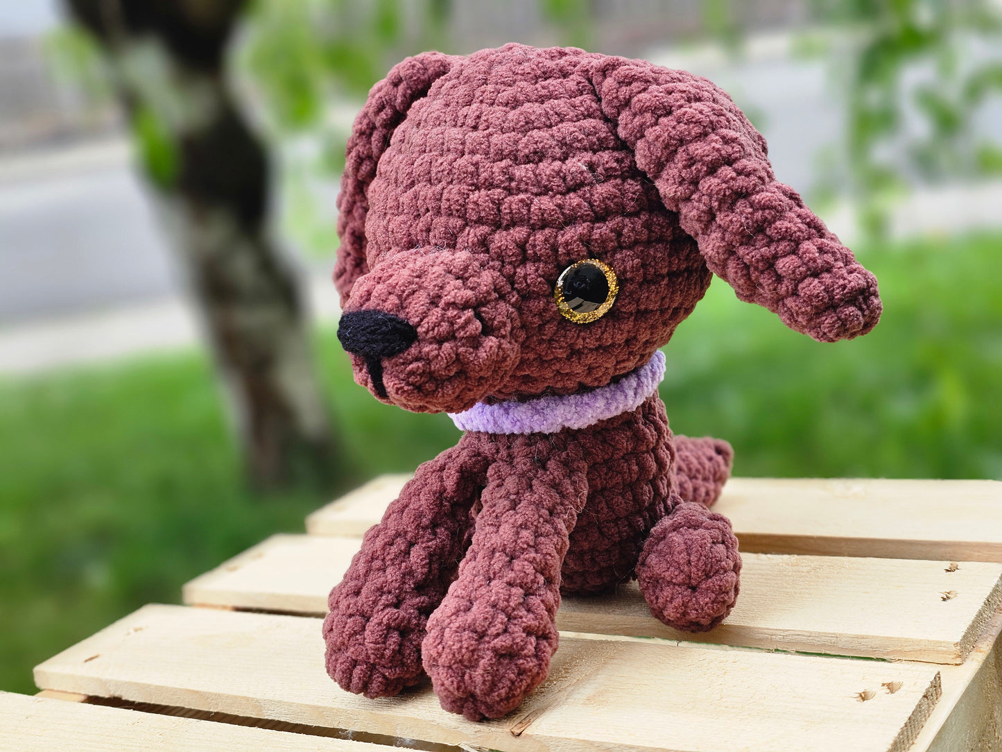 Chocolate Puppy