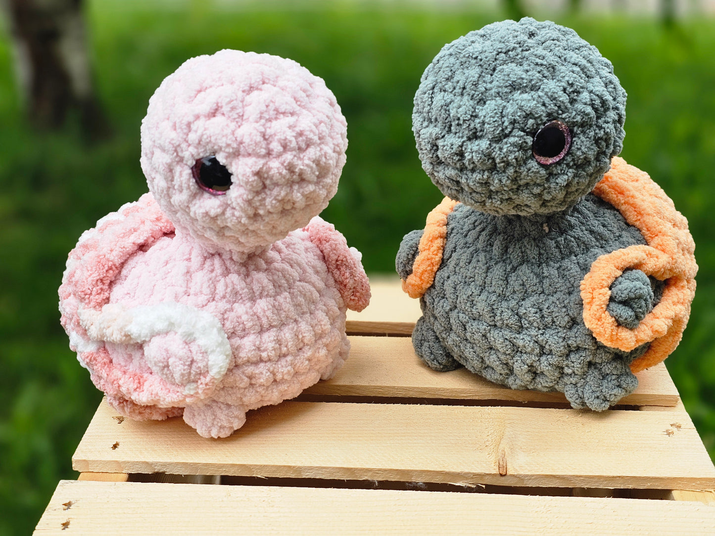 Cheeky Turtles