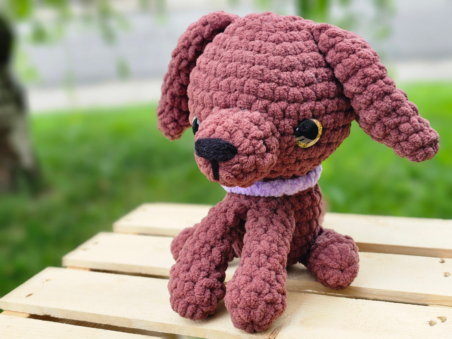 Chocolate Puppy