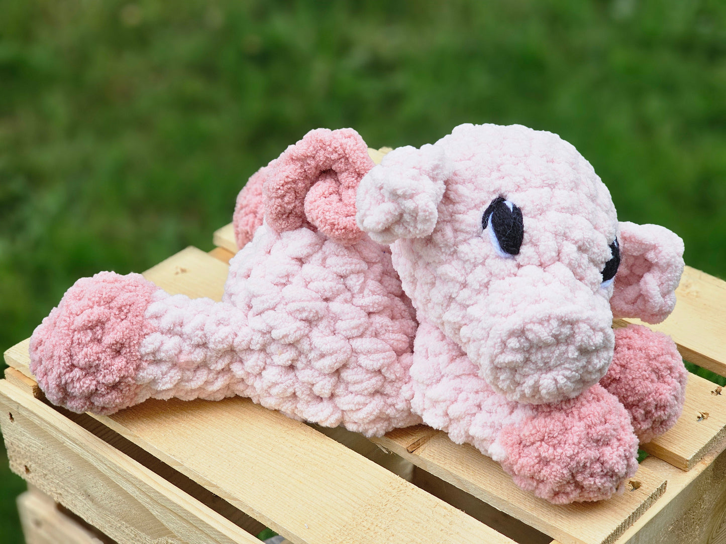 Honey the Piglet Snuggler