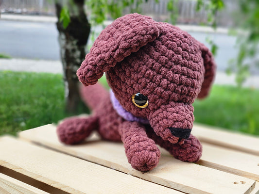 Chocolate Puppy
