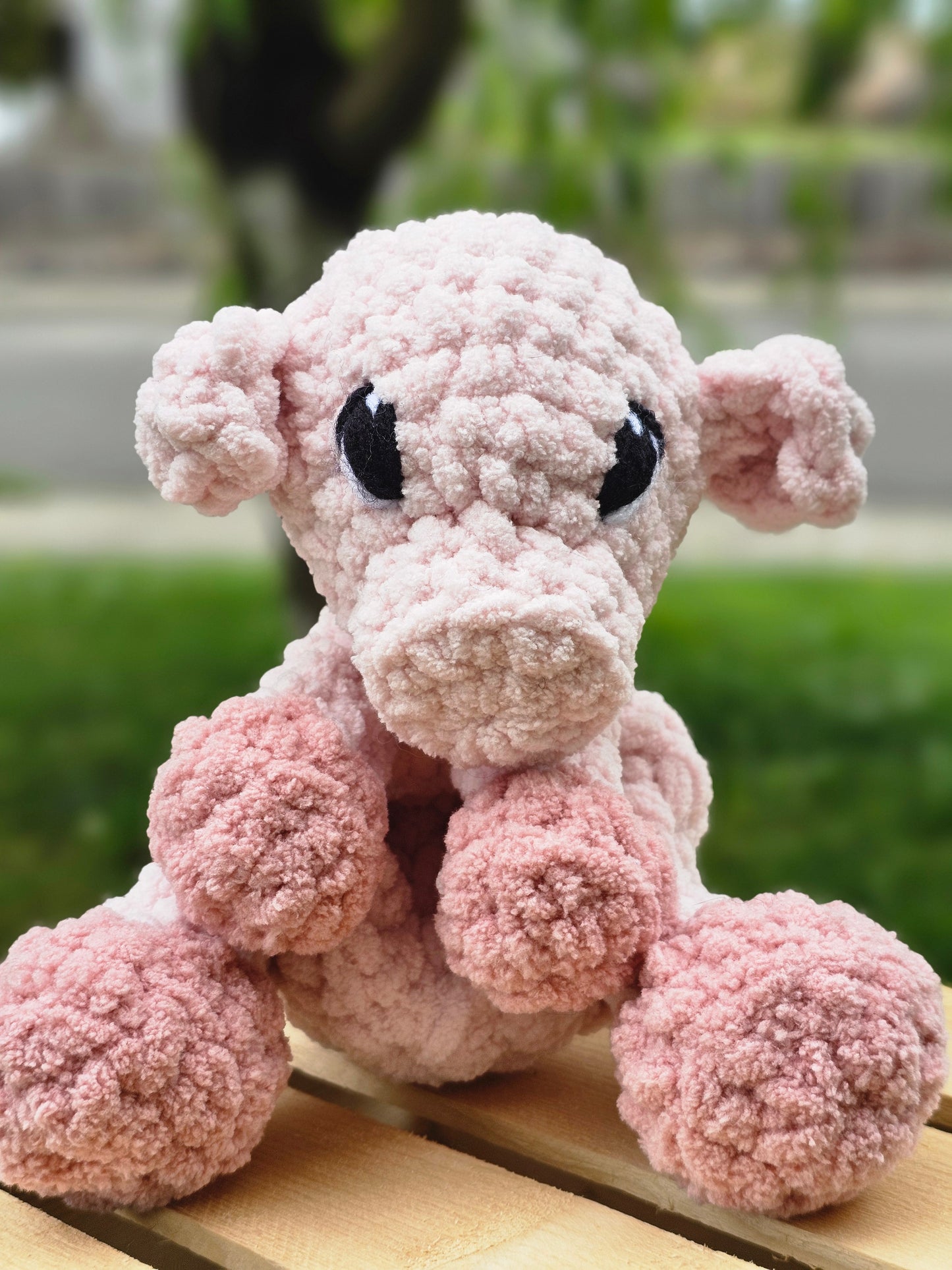 Honey the Piglet Snuggler