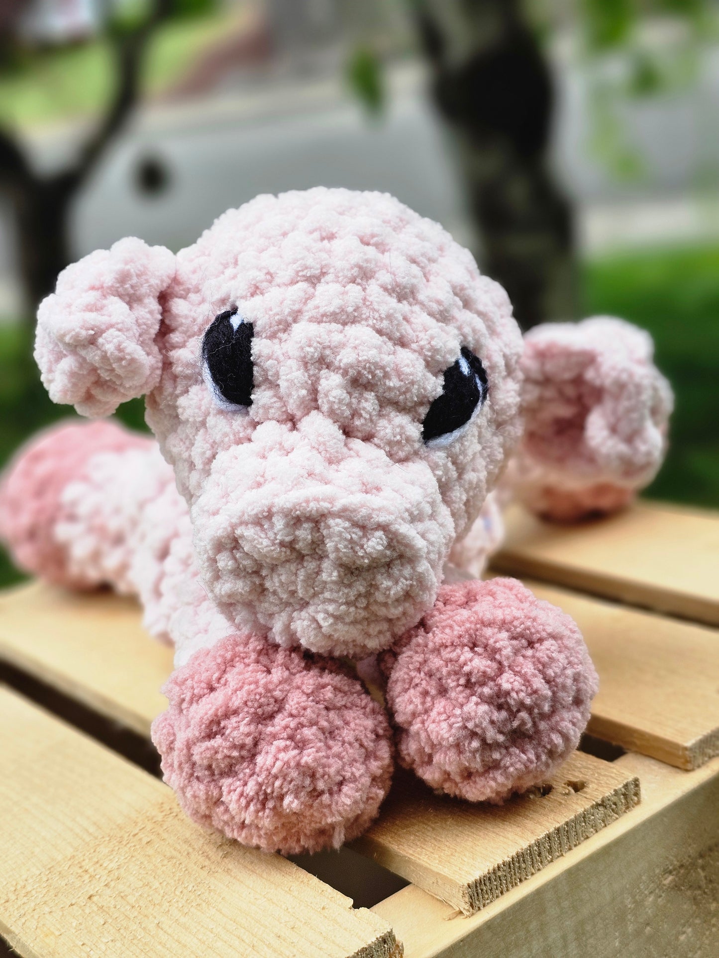 Honey the Piglet Snuggler