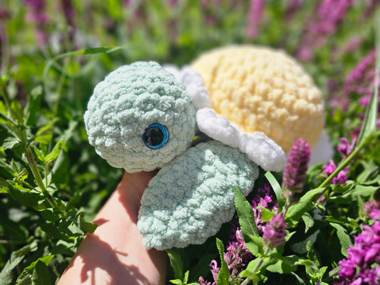 Daisy Sea Turtle